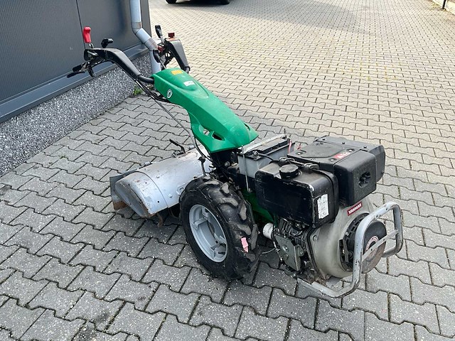 Ferrari tuinfrees - afbeelding 9 van  15