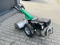Ferrari tuinfrees - afbeelding 9 van  15