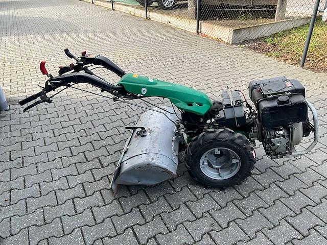 Ferrari tuinfrees - afbeelding 10 van  15