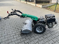 Ferrari tuinfrees - afbeelding 10 van  15