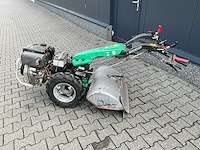 Ferrari tuinfrees - afbeelding 11 van  15