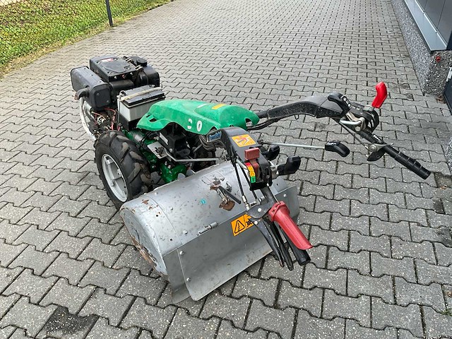Ferrari tuinfrees - afbeelding 12 van  15