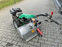 Ferrari tuinfrees - afbeelding 12 van  15
