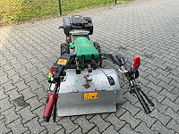Ferrari tuinfrees - afbeelding 13 van  15