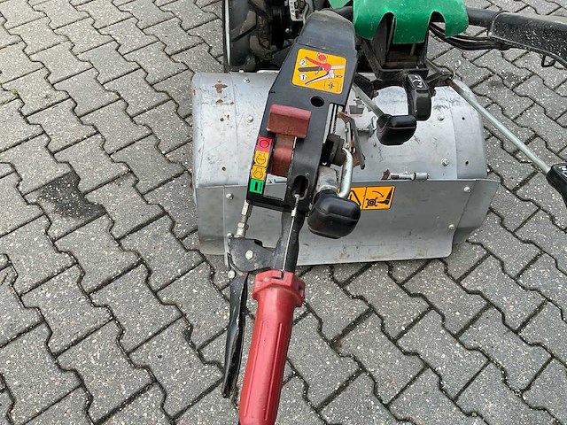 Ferrari tuinfrees - afbeelding 14 van  15