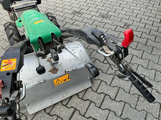 Ferrari tuinfrees - afbeelding 15 van  15