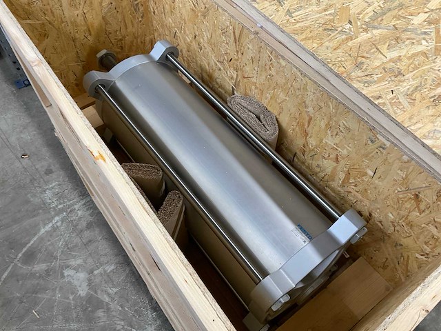 Festo dsbg-250-550-ppva-n3 werkcilinder (2x) - afbeelding 2 van  3