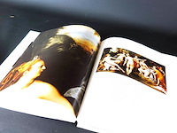 Fiamminghia a roma - afbeelding 5 van  5