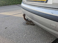 Fiat panda 1.2 dynamic 2004 | 70-pf-bj - afbeelding 18 van  21