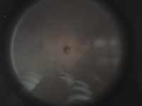 Fib - afbeelding 17 van  17