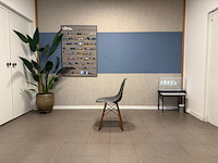 Fiberglass houten dowel-base herman miller, dsw, grijs - afbeelding 6 van  12