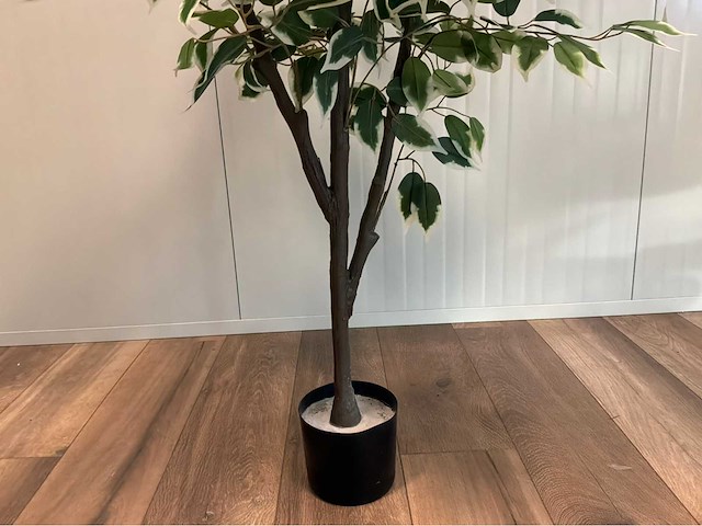 Ficus kunstplant (2x) - afbeelding 8 van  10