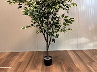 Ficus kunstplant - afbeelding 5 van  10