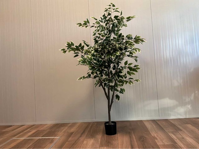 Ficus kunstplant - afbeelding 3 van  10