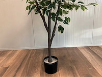 Ficus kunstplant - afbeelding 10 van  10