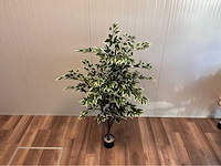 Ficus kunstplant - afbeelding 10 van  10