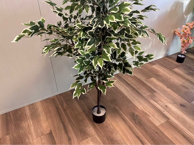 Ficus kunstplant - afbeelding 5 van  10