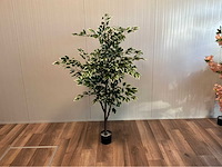 Ficus kunstplant - afbeelding 1 van  10