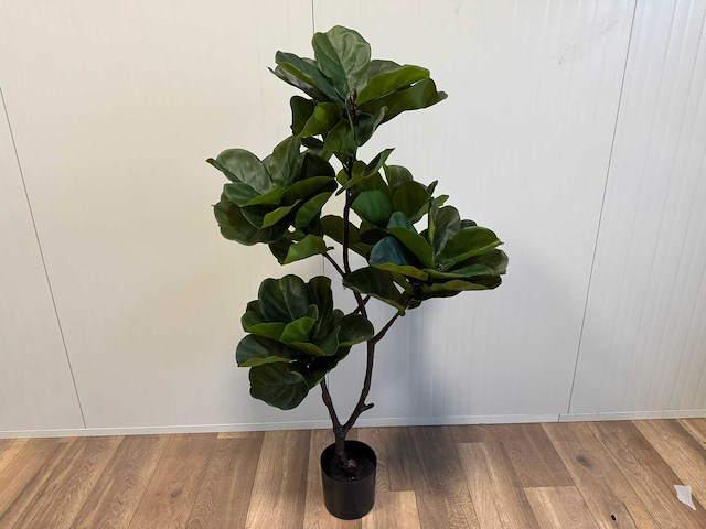 Fiddleleaf tree kunstplant (155cm hoog) - afbeelding 1 van  13