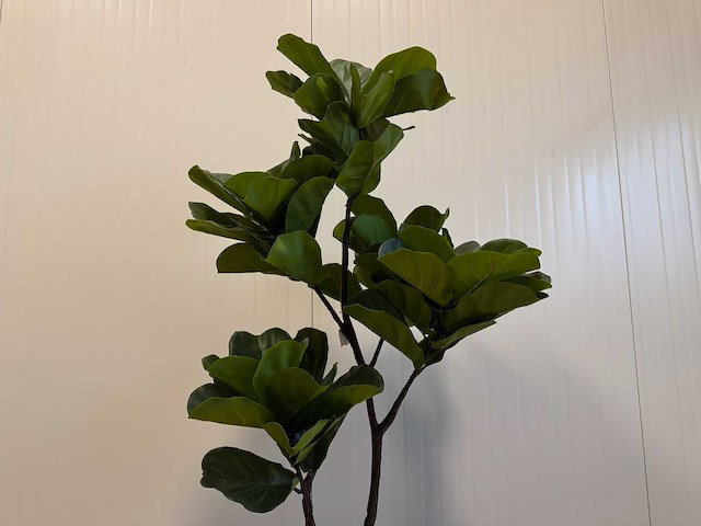Fiddleleaf tree kunstplant (155cm hoog) - afbeelding 10 van  13