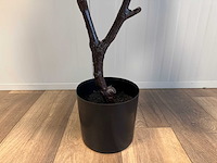 Fiddleleaf tree kunstplant (155cm hoog) - afbeelding 4 van  13