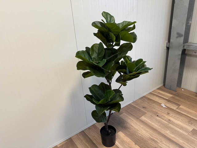 Fiddleleaf tree kunstplant (155cm hoog) - afbeelding 7 van  13