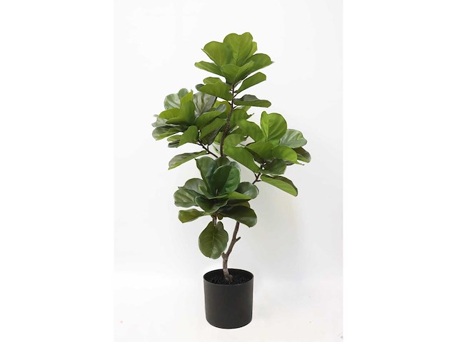 Fiddleleaf tree kunstplant (155cm hoog) - afbeelding 2 van  8
