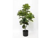 Fiddleleaf tree kunstplant (155cm hoog) - afbeelding 2 van  8