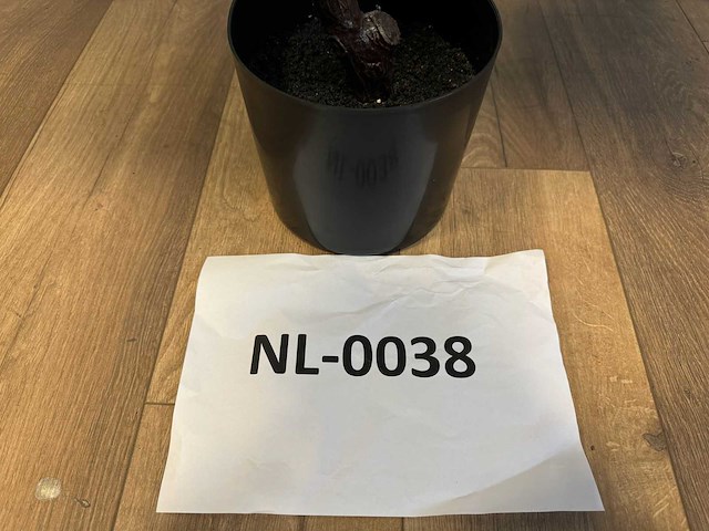 Fiddleleaf tree kunstplant (155cm hoog) - afbeelding 4 van  4