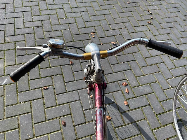 Fiets ludo, norta (2x) - afbeelding 6 van  7