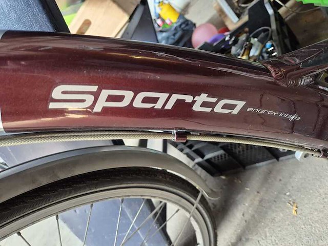 Fiets, sparta, ion, zilver/bordeaux - afbeelding 2 van  2