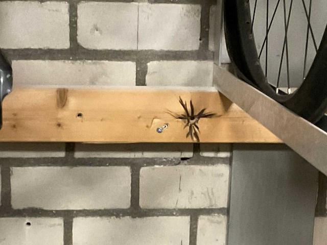 Fietsenstalling - afbeelding 3 van  3