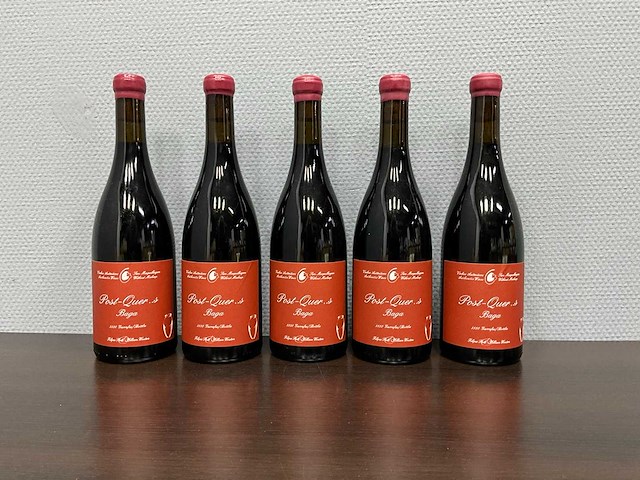 Filipa pato post quercus baga 2022 (5x) - afbeelding 1 van  3