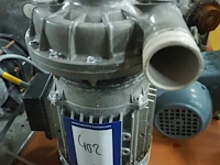 Fir