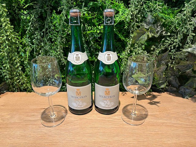 Fles mousserende wijn (8x) - afbeelding 1 van  2