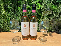 Fles rose wijn (11x) - afbeelding 1 van  2