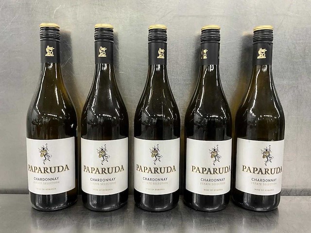 Fles witte wijn (5x) - afbeelding 1 van  2