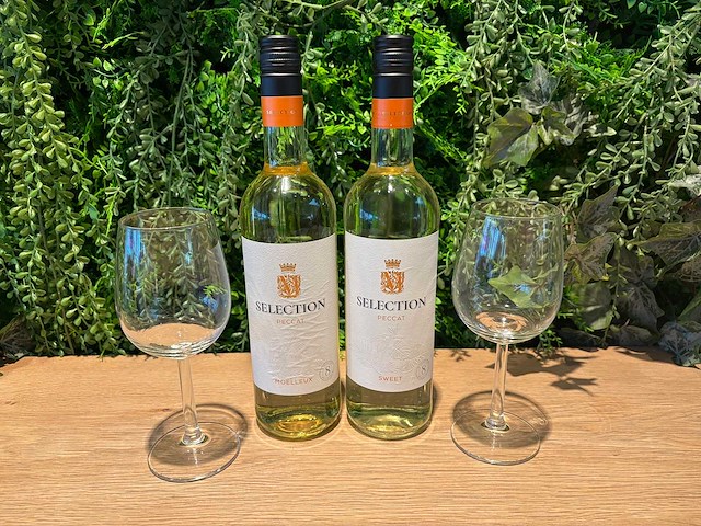 Fles witte wijn (6x) - afbeelding 1 van  2