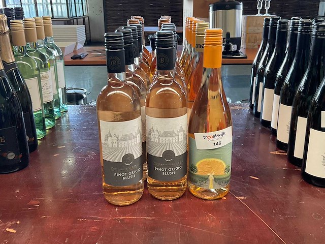 Flessen rosé (22x) - afbeelding 1 van  2