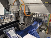 Flesverdeler, polyketting, 2009 - afbeelding 3 van  21