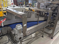 Flesverdeler, polyketting, 2009 - afbeelding 5 van  21