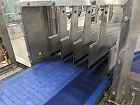 Flesverdeler, polyketting, 2009 - afbeelding 20 van  21