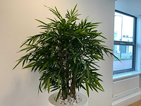 Fleur ami kunstplant met designpot - afbeelding 4 van  5