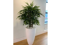 Fleur ami kunstplant met designpot - afbeelding 5 van  5