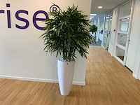 Fleur ami kunstplant met designpot