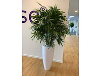 Fleur ami kunstplant met designpot - afbeelding 2 van  6