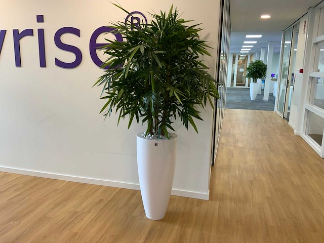 Fleur ami kunstplant met designpot - afbeelding 5 van  6