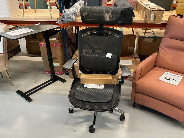 Flexispot apollo-m2 bureaustoel - afbeelding 1 van  4