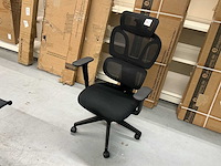 Flexispot bs3b-v2 bureaustoel - afbeelding 1 van  5