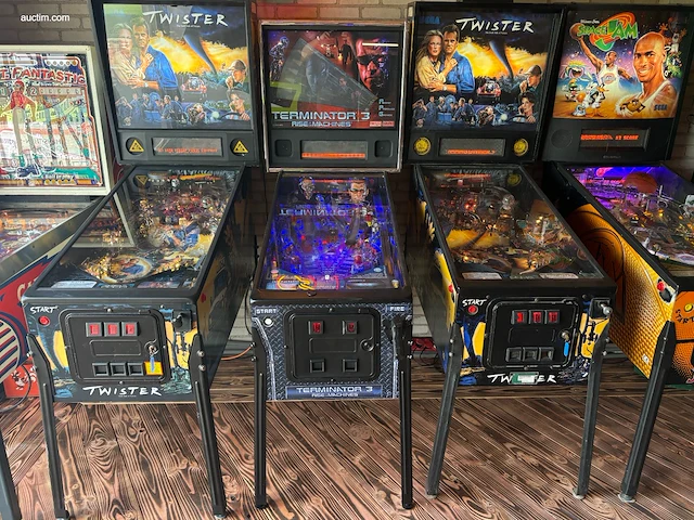 Flipperkast stern pinball inc. terminator - afbeelding 1 van  12